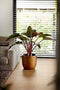 Capi Europe - Bloempot bol Retro Gold & Copper - 24x21 - Goud - Opening Ø20.9 - Bloempot voor binnen - 5 jaar garantie - BRTG134