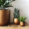 Capi Europe - Bloempot bol Retro Gold & Copper - 24x21 - Goud - Opening Ø20.9 - Bloempot voor binnen - 5 jaar garantie - BRTG134