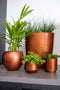 Capi Europe - Bloempot bol Retro Gold & Copper - 8x6 - Goud - Opening Ø5.6 - Bloempot voor binnen - 5 jaar garantie - BRTG131