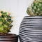 Capi Europe - Bloempot bol Rib Anthracite & Ivory - 8x6 - Ivoor - Opening Ø5.6 - Bloempot voor binnen - 5 jaar garantie - BOFI131