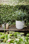 Capi Europe - Bloempot bol Rib NL - 35x34 - Ivoor - Opening Ø29 - Bloempot voor binnen en buiten - Levenslang garantie - Breukbestendig - 100% Recyclebaar - CO2 Neutraal geproduceerd - KOFI932