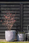 Capi Europe - Bloempot bol Rib NL - 55x53 - Ivoor - Opening Ø46 - Bloempot voor binnen en buiten - Levenslang garantie - Breukbestendig - 100% Recyclebaar - CO2 Neutraal geproduceerd - KOFI935