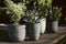 Capi Europe - Bloempot bol Row NL - 55x53 - Antraciet - Opening Ø46 - Bloempot voor binnen en buiten - Levenslang garantie - Breukbestendig - 100% Recyclebaar - CO2 Neutraal geproduceerd - KRWZ935