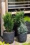 Capi Europe - Bloempot bol Row NL - 55x53 - Antraciet - Opening Ø46 - Bloempot voor binnen en buiten - Levenslang garantie - Breukbestendig - 100% Recyclebaar - CO2 Neutraal geproduceerd - KRWZ935