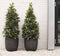 Capi Europe - Bloempot bol Row NL - 55x53 - Antraciet - Opening Ø46 - Bloempot voor binnen en buiten - Levenslang garantie - Breukbestendig - 100% Recyclebaar - CO2 Neutraal geproduceerd - KRWZ935