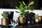 Capi Europe - Bloempot bol Terrazzo Gold - 17x15 - Goud - Opening Ø15.4 - Bloempot voor binnen - 5 jaar garantie - BTZG133