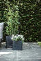 Capi Europe - Bloempot vierkant Rib NL - 30x30 - Zwart - Opening Ø24 - Bloempot voor binnen en buiten - Levenslang garantie - Breukbestendig - 100% Recyclebaar - CO2 Neutraal geproduceerd - KBLR902