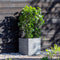 Capi Europe - Bloempot vierkant Rib NL - 50x50 - Antraciet - Opening Ø42 - Bloempot voor binnen en buiten - Levenslang garantie - Breukbestendig - 100% Recyclebaar - CO2 Neutraal geproduceerd - KOFZ904
