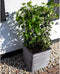 Capi Europe - Bloempot vierkant Rib NL - 50x50 - Antraciet - Opening Ø42 - Bloempot voor binnen en buiten - Levenslang garantie - Breukbestendig - 100% Recyclebaar - CO2 Neutraal geproduceerd - KOFZ904