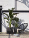 Capi Europe - Bloempot vierkant Smooth NL - 50x50 - Zwart - Opening Ø42 - Bloempot voor binnen en buiten - Levenslang garantie - Breukbestendig - 100% Recyclebaar - CO2 Neutraal geproduceerd - KBL904