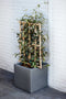 Capi Europe - Bloempot vierkant Smooth NL - 50x50 - Zwart - Opening Ø42 - Bloempot voor binnen en buiten - Levenslang garantie - Breukbestendig - 100% Recyclebaar - CO2 Neutraal geproduceerd - KBL904