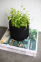 Capi Europe - Sandbag Groove Black & Gold - 20x17 - Goud - Opening Ø15.3 - Bloempot voor binnen - 5 jaar garantie - BGVGB394