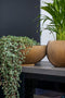 Capi Europe - Schaal Groove Black & Gold - 40x15 - Zwart - Opening Ø35.6 - Bloempot voor binnen - 5 jaar garantie - BGVBL037