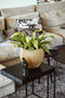 Capi Europe - Vaas bol Groove Black & Gold - 10x9 - Goud - Opening Ø7.2 - Bloempot voor binnen - 5 jaar garantie - BGVGB101