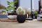 Capi Europe - Vaas bol Groove Black & Gold - 10x9 - Zwart - Opening Ø7.2 - Bloempot voor binnen - 5 jaar garantie - BGVBL101