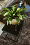 Capi Europe - Vaas bol Groove Black & Gold - 12x10 - Goud - Opening Ø8.5 - Bloempot voor binnen - 5 jaar garantie - BGVGB109