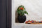 Capi Europe - Vaas bol Groove Black & Gold - 12x10 - Zwart - Opening Ø8.5 - Bloempot voor binnen - 5 jaar garantie - BGVBL109