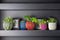 Capi Europe - Vaas bol Groove Colours - 30x25 - Paars - Opening Ø21.5 - Bloempot voor binnen - 5 jaar garantie - BGVP104