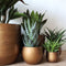 Capi Europe - Vaas bol Retro Gold & Copper - 18x15 - Goud - Opening Ø11 - Bloempot voor binnen - 5 jaar garantie - BRTG102