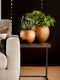 Capi Europe - Vaas bol Retro Gold & Copper - 22x18 - Goud - Opening Ø15.7 - Bloempot voor binnen - 5 jaar garantie - BRTG103