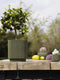 Capi Europe - Vaas cilinder Groove Colours - 19x21 - Groen - Opening Ø16.9 - Bloempot voor binnen - 5 jaar garantie - BGVGN314