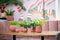 Capi Europe - Vaas cilinder Groove Colours - 19x21 - Groen - Opening Ø16.9 - Bloempot voor binnen - 5 jaar garantie - BGVGN314