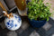 Capi Europe - Vaas cilinder Groove Colours - 8x9 - Donkerblauw - Opening Ø6.5 - Bloempot voor binnen - 5 jaar garantie - BGVDB311