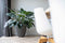 Capi Europe - Vaas elegant laag Groove NL - 34x46 - Goud - Opening Ø27 - Bloempot voor binnen en buiten - Levenslang garantie - Breukbestendig - 100% Recyclebaar - CO2 Neutraal geproduceerd - KGVGB782