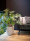 Capi Europe - Vaas elegant laag Groove NL - 34x46 - Goud - Opening Ø27 - Bloempot voor binnen en buiten - Levenslang garantie - Breukbestendig - 100% Recyclebaar - CO2 Neutraal geproduceerd - KGVGB782