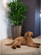 Capi Europe - Vaas elegant laag Groove NL - 34x46 - Goud - Opening Ø27 - Bloempot voor binnen en buiten - Levenslang garantie - Breukbestendig - 100% Recyclebaar - CO2 Neutraal geproduceerd - KGVGB782