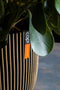 Capi Europe - Vaas elegant laag Groove NL - 46x58 - Zwart - Opening Ø38 - Bloempot voor binnen en buiten - Levenslang garantie - Breukbestendig - 100% Recyclebaar - CO2 Neutraal geproduceerd - KGVBL783
