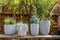 Capi Europe - Vaas elegant laag Groove NL - 46x58 - Zwart - Opening Ø38 - Bloempot voor binnen en buiten - Levenslang garantie - Breukbestendig - 100% Recyclebaar - CO2 Neutraal geproduceerd - KGVBL783