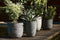 Capi Europe - Vaas elegant laag Rib NL - 46x58 - Antraciet - Opening Ø38 - Bloempot voor binnen en buiten - Levenslang garantie - Breukbestendig - 100% Recyclebaar - CO2 Neutraal geproduceerd - KOFZ783