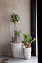 Capi Europe - Vaas elegant laag Rib NL - 46x58 - Antraciet - Opening Ø38 - Bloempot voor binnen en buiten - Levenslang garantie - Breukbestendig - 100% Recyclebaar - CO2 Neutraal geproduceerd - KOFZ783