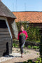 Capi Europe - Vaas elegant laag Rib NL - 46x58 - Antraciet - Opening Ø38 - Bloempot voor binnen en buiten - Levenslang garantie - Breukbestendig - 100% Recyclebaar - CO2 Neutraal geproduceerd - KOFZ783