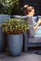 Capi Europe - Vaas elegant laag Rib NL - 46x58 - Antraciet - Opening Ø38 - Bloempot voor binnen en buiten - Levenslang garantie - Breukbestendig - 100% Recyclebaar - CO2 Neutraal geproduceerd - KOFZ783