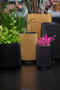 Capi Europe - Vaas hoog Groove Black & Gold - 17x27 - Goud - Opening Ø14.6 - Bloempot voor binnen - 5 jaar garantie - BGVGB434