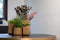 Capi Europe - Vaas hoog Groove Black & Gold - 17x27 - Goud - Opening Ø14.6 - Bloempot voor binnen - 5 jaar garantie - BGVGB434