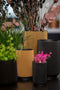 Capi Europe - Vaas hoog Groove Black & Gold - 17x27 - Zwart - Opening Ø14.6 - Bloempot voor binnen - 5 jaar garantie - BGVBL434