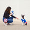 CAPITAN AMERICA - Hondenspeeltje Kauwring