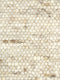Carlotta 3 Vloerkleed - 250x300 - Rechthoek - Laagpolig,Structuur Tapijt - Industrieel - Beige, Bruin