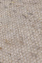 Carlotta 3 Vloerkleed - 60x90 - Rechthoek - Laagpolig,Structuur Tapijt - Industrieel - Beige, Bruin