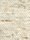 Carlotta 3 Vloerkleed - 60x90 - Rechthoek - Laagpolig,Structuur Tapijt - Industrieel - Beige, Bruin