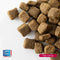 Carocroc Energy 25/16 - Hondenvoer - 3 kg