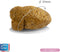 Carocroc Skin Support Gevogelte&Vis&Rijst - Hondenvoer - 12.5 kg