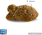 Carocroc - Vis - Kattenvoer - 2 kg
