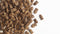 Carocroc - Vis - Kattenvoer - 2 kg