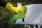 Carré bamboe Groen 25x20 cm 5 stuks