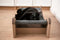 CARTON+ PETS Mia – Katzenhängematte – 72 x 36 cm