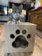 CARTON+ PETS Netti – Katzenkratzer – 35,5 x 35,5 cm